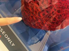 -ROSEONLY诺誓(青岛万象城店)