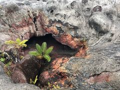 -夏威夷火山国家公园