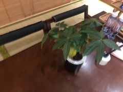 大堂-Banana本娜娜·按摩养生SPA(上海湾店)