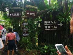 -呀诺达热带雨林