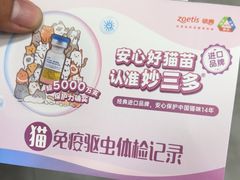 -爱佳宠物中心医院24H·CT·骨外科·猫专科(瑶海万达店)