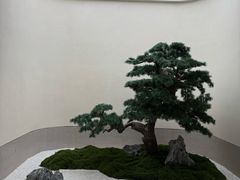 -东方威尼斯温泉酒店