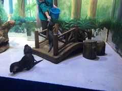 -华夏文旅海洋公园