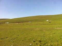 -青海湖国家重点风景名胜区