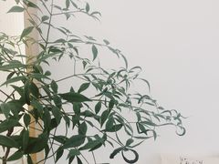 -Onirii Coffee(长乐路店)
