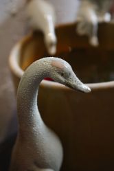 店内环境-老黑造型