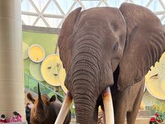 -陕西自然博物馆