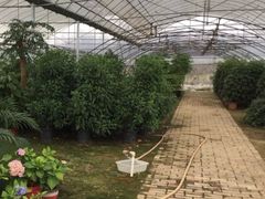 -呼吸森林·生态农庄农家乐私房菜