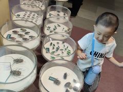 -陕西自然博物馆