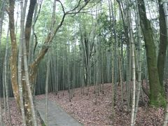 -广州市石门国家森林公园