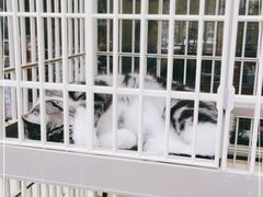 -情忆草原涮肉馆