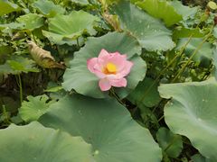 -韶山毛泽东同志故居