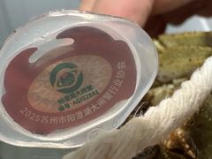 -阳澄湖半岛旅游度假区