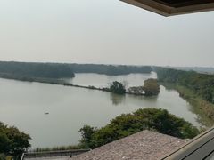 -大湾区中央湿地公园