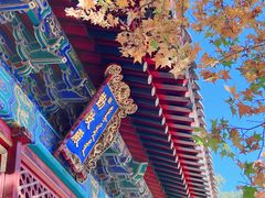 -香山公园