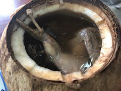 原只椰子炖鹌鹑-達揚原味燉品(文明路店)