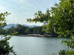 -西湖公园(鼓楼区)