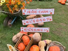 -HERRE·FARM 赫尔露营农场·团建聚会包场