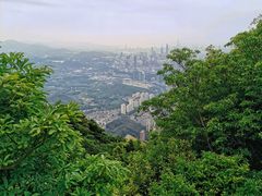 -梧桐山风景名胜区