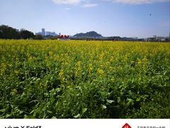 -光明小镇欢乐田园