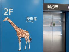 -虹桥综合交通枢纽-P6停车库