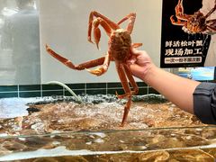 -丰卓会海鲜自助(中润大道店)