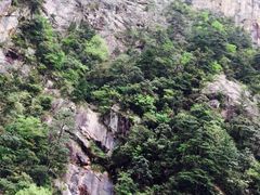 -大明山自然探索公园