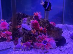 -太平洋海底世界