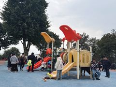 -铁山坪森林公园