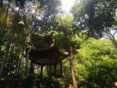 -杭州黄龙洞