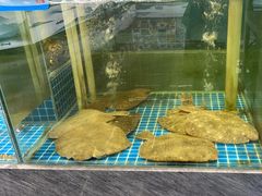 -友鹏海鲜(新宜白大道店)