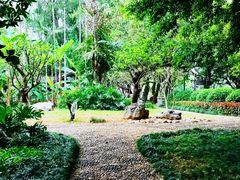 -西湖公园(鼓楼区)