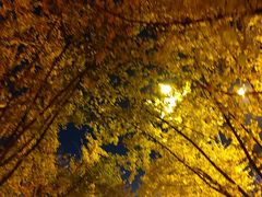 -高庙村(地铁站)