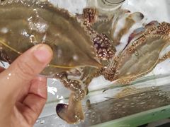 -山海经·海边人家 海鲜新青岛菜(扬州路店)