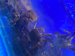 -星伦多自助料理(永旺店)