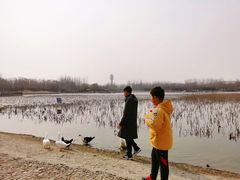 -廊坊市自然公园