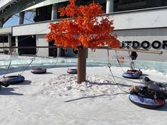 -沈阳奥体冰雪嘉年华