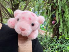 -广州长隆飞鸟乐园
