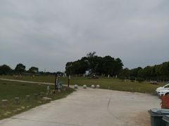 -合肥滨湖国家森林公园