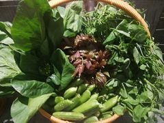 -祥记餐饮•豫粤珍味(金隅大厦店)