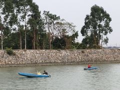 -大湾区中央湿地公园