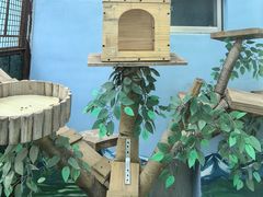 -青藏高原野生动物园