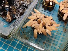 -梦都海鲜酒家(万达广场江桥店)