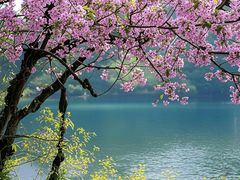 -呈贡滇池生态湿地公园