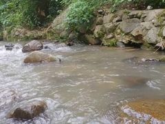 -梅岭月亮湾山体公园