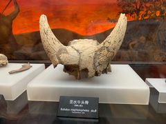 -河姆渡遗址博物馆