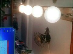 -参差咖啡(水果湖公园店)