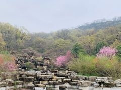 -南京市江宁方山