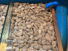 -鼎原力量东北吊炉烧烤(幸福街店)