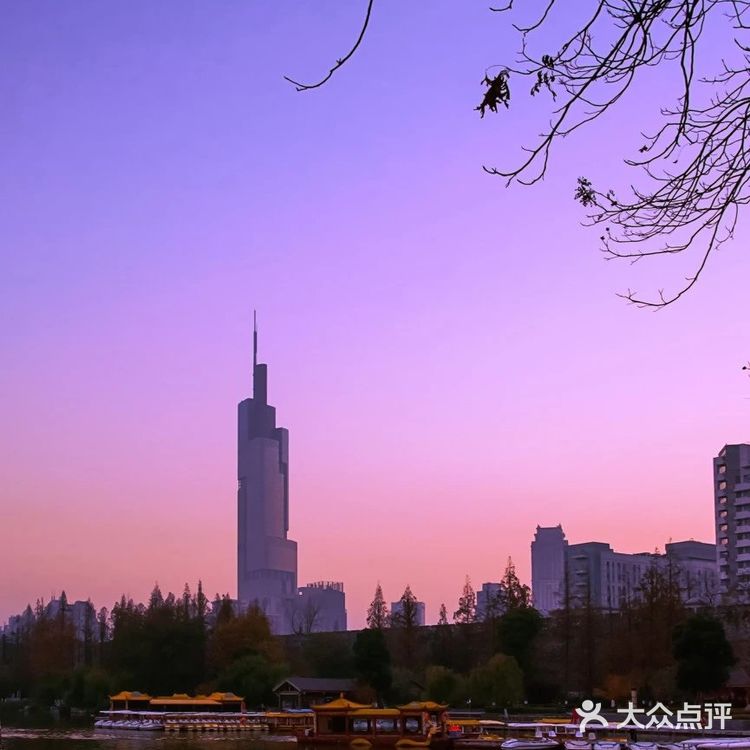 南京旅游丨超详细！🍁5个赏秋景点攻略！